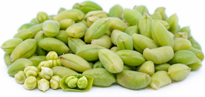 Green Chickpeas ( By LB ) - Papaya Express