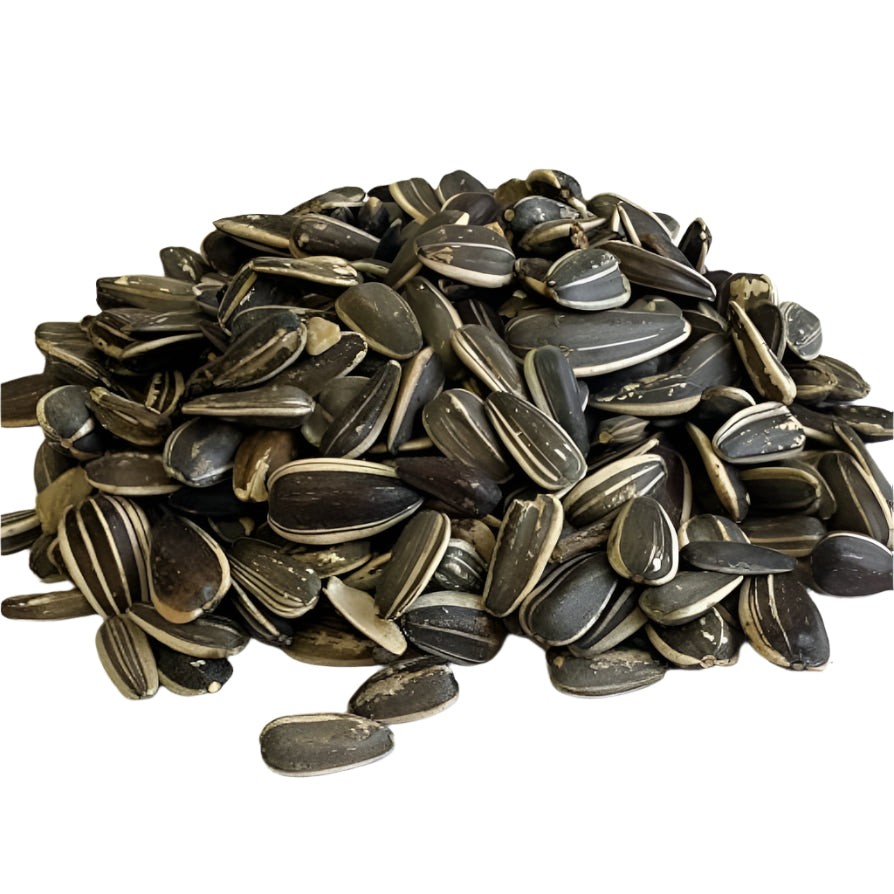 Sunflower Seeds Unsalted (1 lb) - Papaya Express