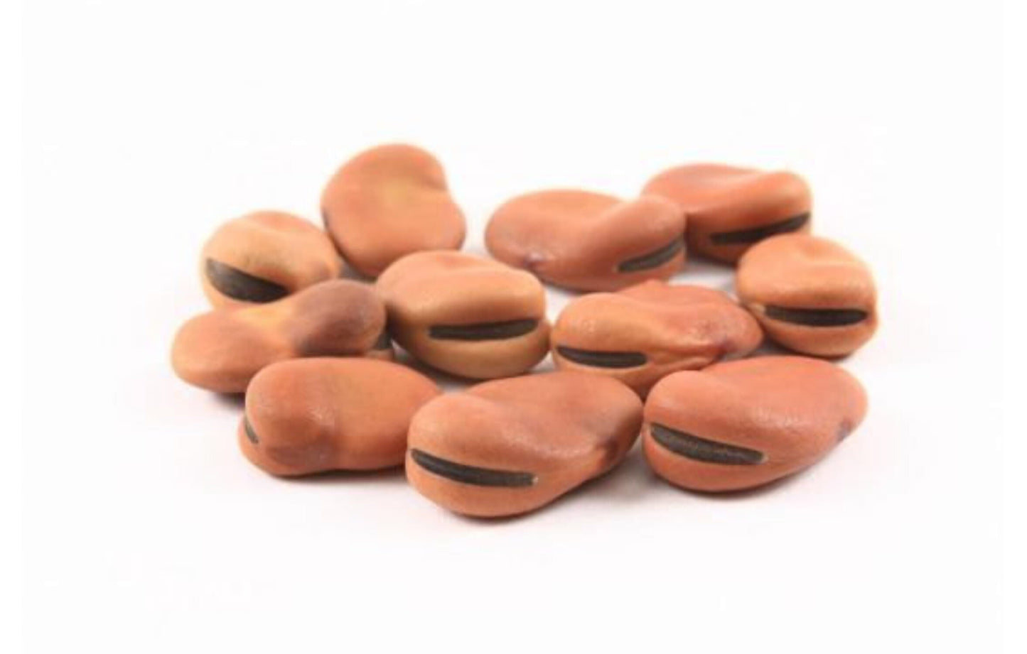 Large Fava Beans (2.99 PER-POUND) - Papaya Express