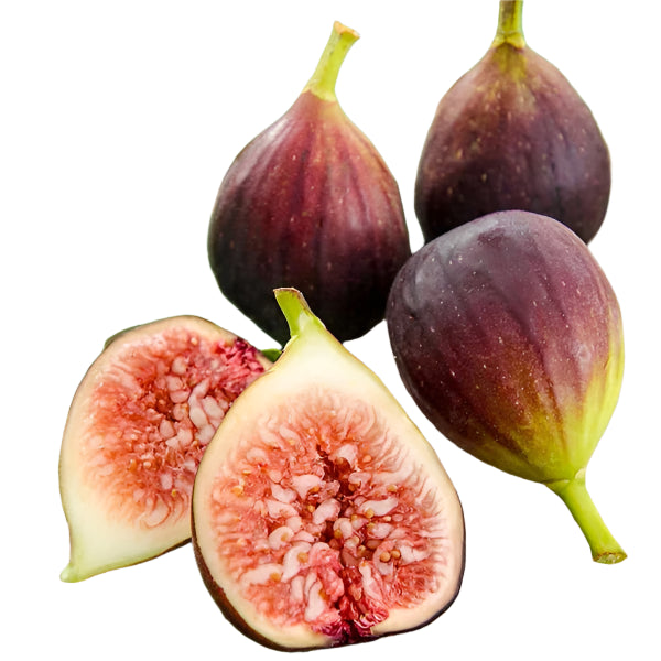 Turkish Figs (By Lb.) - Papaya Express