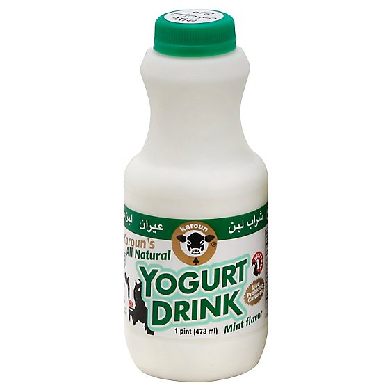 Karoun Mint Yogurt Drink (473mL) Papaya Express