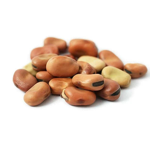 Large Broad Beans (Per LB) - Papaya Express