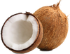 Coconut (by each) - Papaya Express