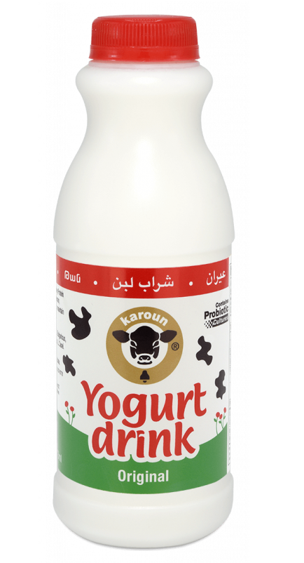 Karoun Plain Yogurt Drink (473 mL) - Papaya Express