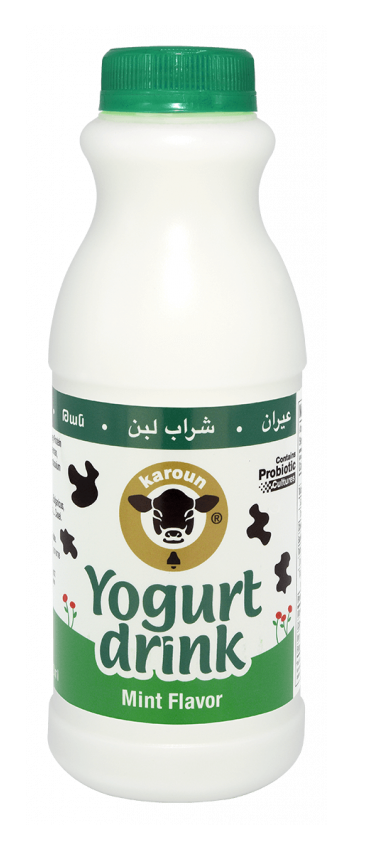 Karoun Mint Yogurt Drink (473 mL) - Papaya Express