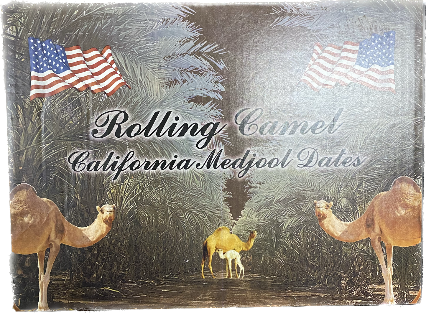 Rolling Camel Dates Extra Large Black Box (11 lb) - Papaya Express