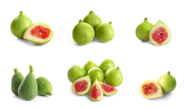 Figs Green ( By LB ) - Papaya Express