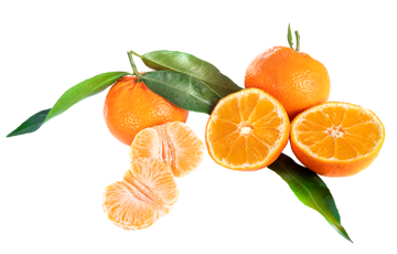 Oranges Satsuma ( By LB ) - Papaya Express
