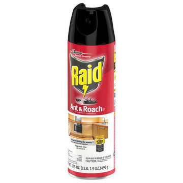 Raid Ant & Roach Spray Fragrance Free (17.5 oz) - Papaya Express