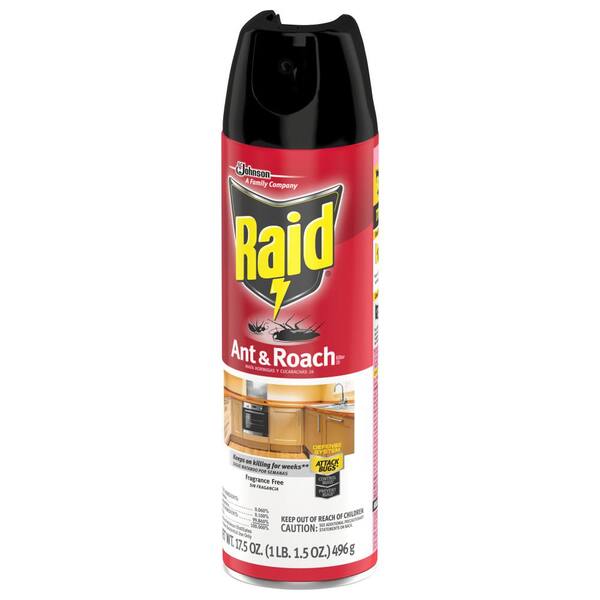 Raid Ant & Roach Spray Fragrance Free (17.5 oz) - Papaya Express