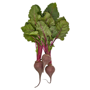 Beets Bunch (By Each) - Papaya Express