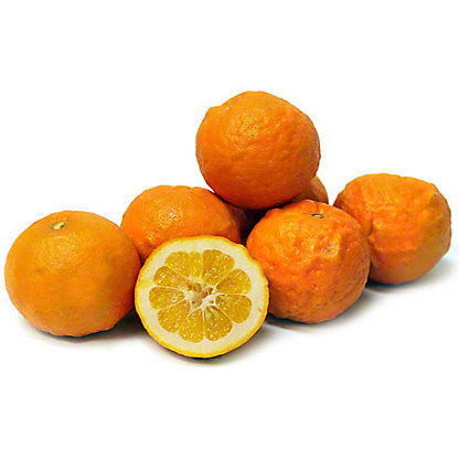 Oranges Seville ( By Each ) - Papaya Express