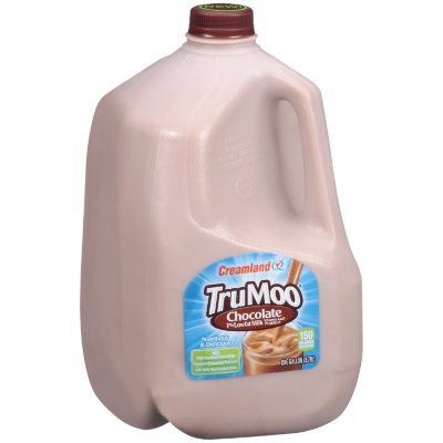 Trumoo Chocolate Milk (1gal) - Papaya Express