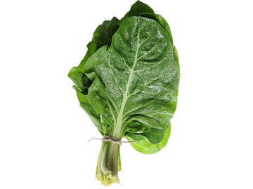 Swiss Chard ( By Each ) - Papaya Express