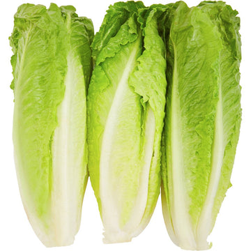 Romaine Hearts Bag 6CT (By Each) - Papaya Express