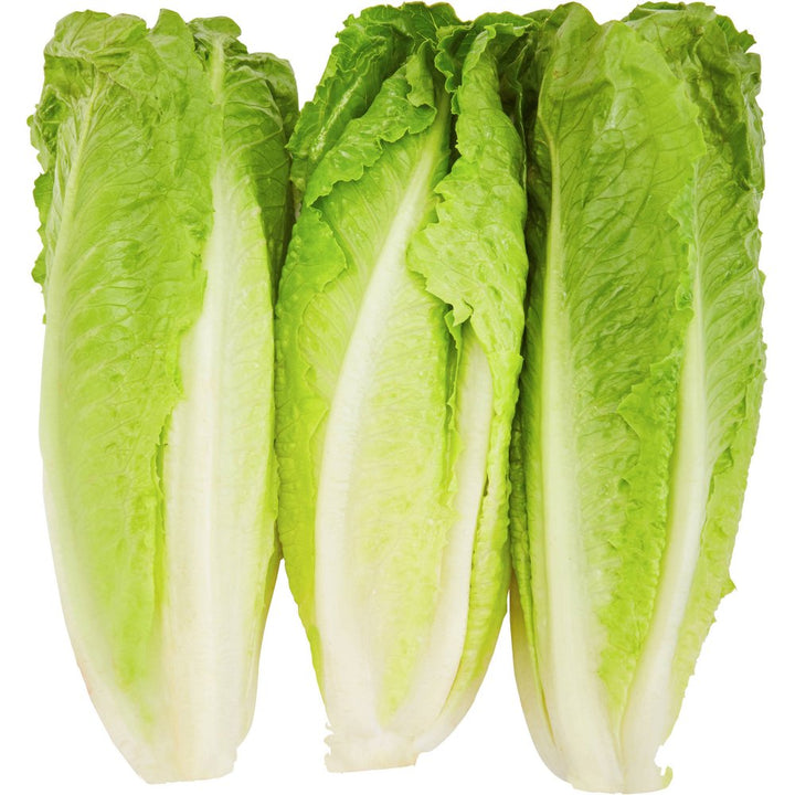 Romaine Hearts Bag 6CT (By Each) - Papaya Express