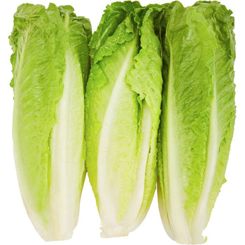 Romaine Hearts Bag 6CT (By Each) - Papaya Express