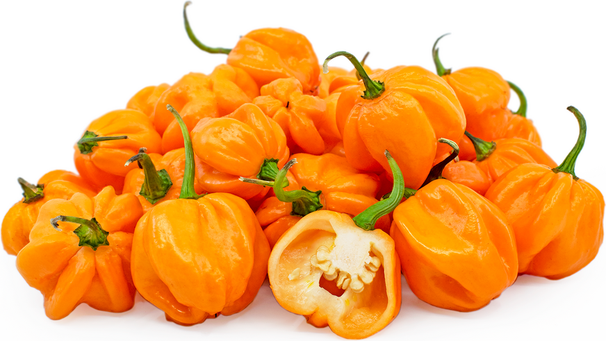 Pepper Habanero ( By Each ) - Papaya Express