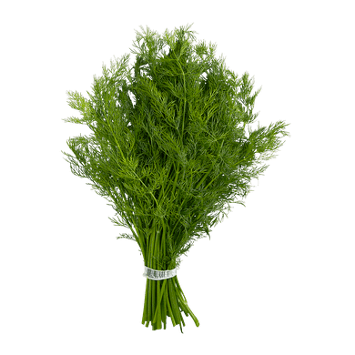 Dill ( By Each ) - Papaya Express