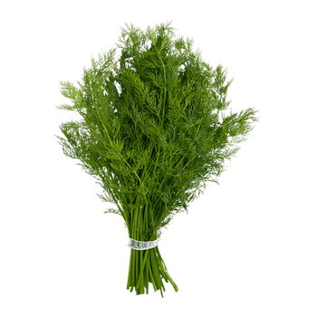 Dill ( By Each ) - Papaya Express