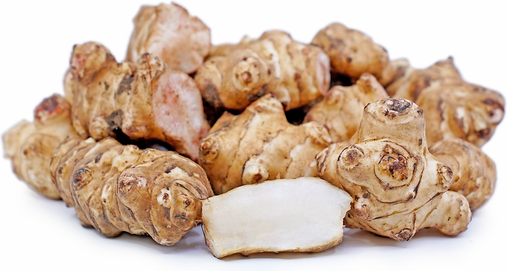 Sunchoke ( By LB ) - Papaya Express