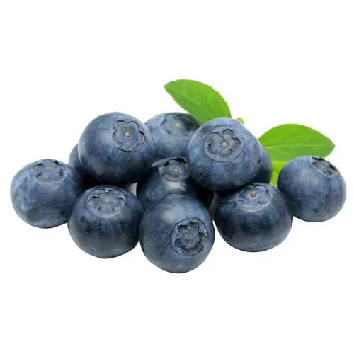 Blueberries Pack ( By Each ) - Papaya Express