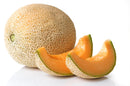 Cantaloupe ( By Each ) - Papaya Express