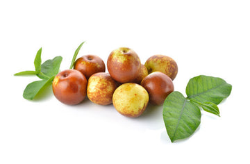 Jujube ( By LB ) - Papaya Express