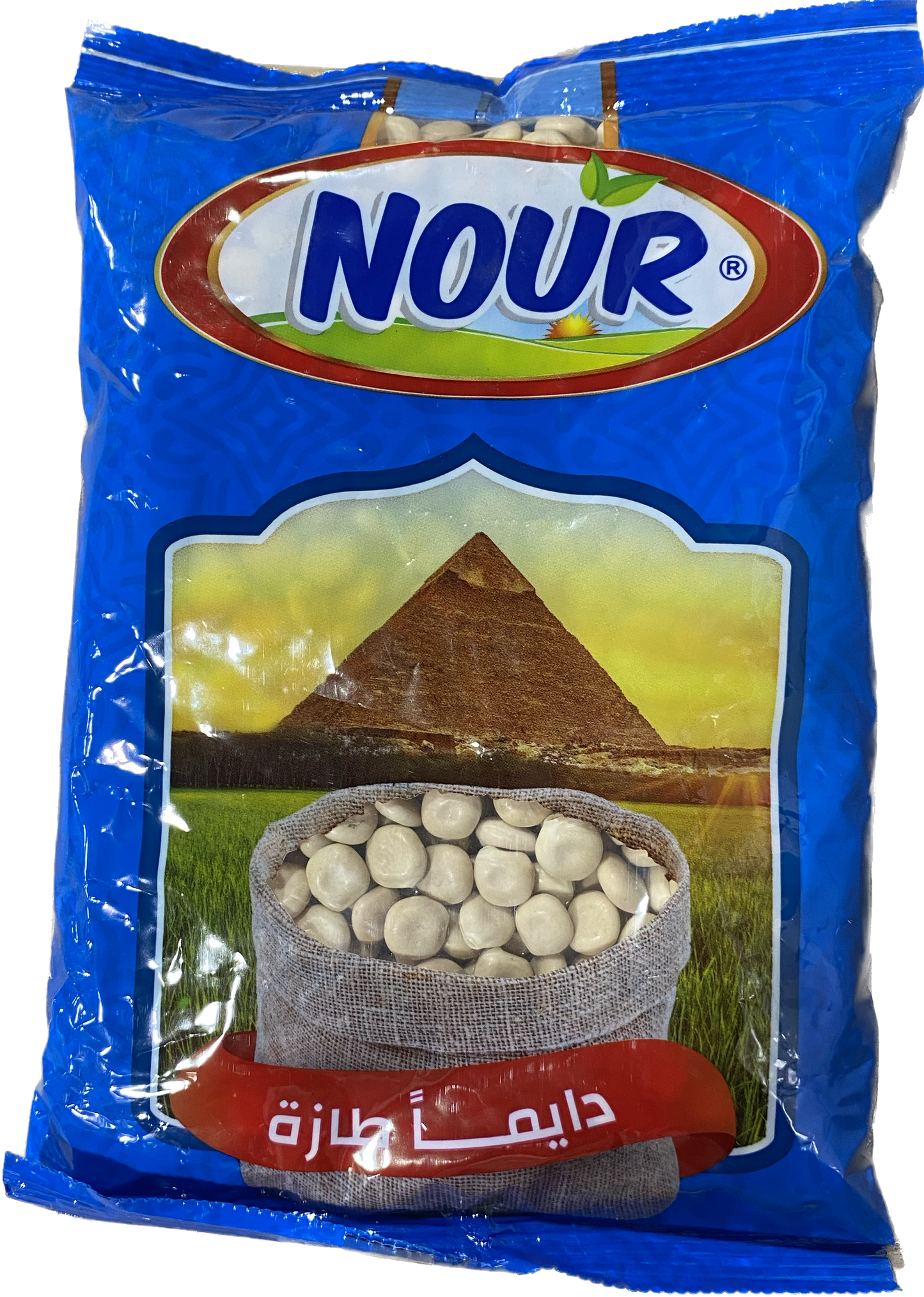 NOUR LUPINI BEANS (400G) - Papaya Express