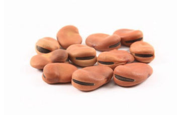 Large Fava Beans (2.99 PER-POUND) - Papaya Express