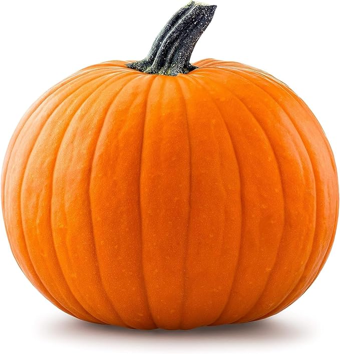 PUMPKIN LARGE (BY EA)