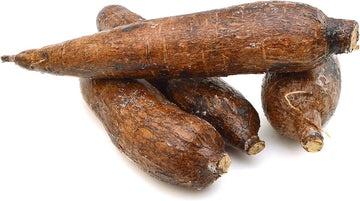Yucca (By Lb.) - Papaya Express