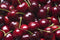 Red Cherries ( By LB ) - Papaya Express