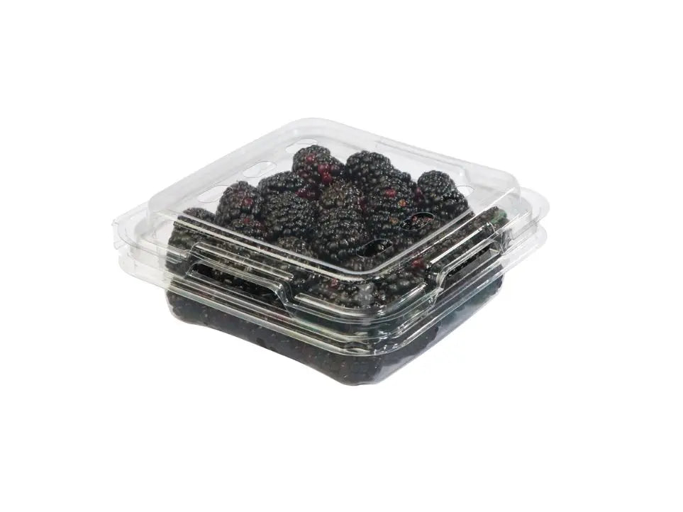 Blackberries Pack ( By Each ) - Papaya Express