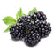 Blackberries Pack ( By Each ) - Papaya Express