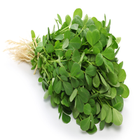 Fenugreek Green ( By Each ) - Papaya Express