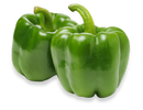 Bell Pepper Green ( By Each ) - Papaya Express