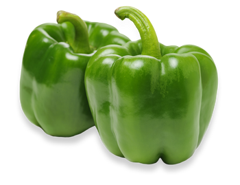 Bell Pepper Green ( By Each ) - Papaya Express