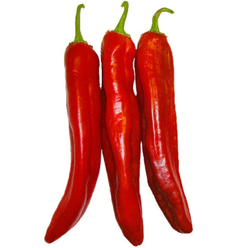 Pepper Red Chili (By LB) - Papaya Express
