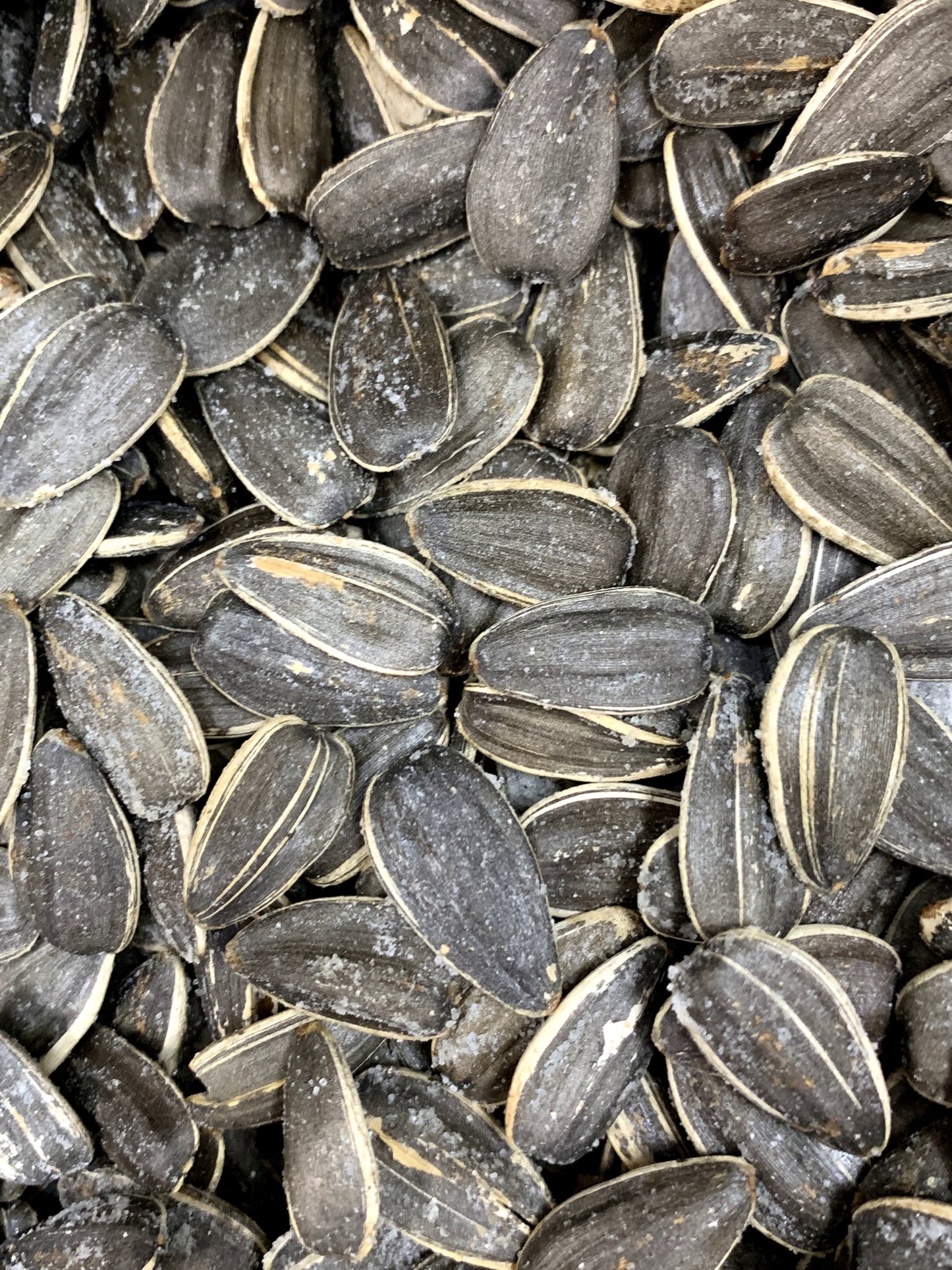 Roasted Sunflower Seeds W/Salt , Per LB - Papaya Express