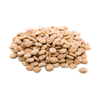 Dry Lupini Beans (per 16 oz) - Papaya Express