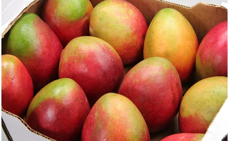 Mango Box - Papaya Express