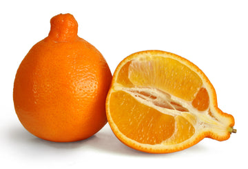 Minneola Orange (by each) - Papaya Express