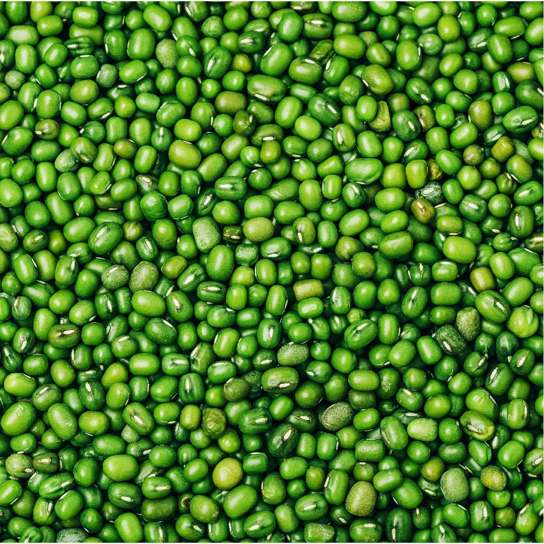 Mung Beans (By LB) - Papaya Express