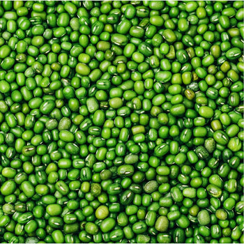 Mung Beans (By LB) - Papaya Express
