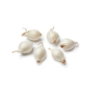 Onion White Pearl Bag - Papaya Express