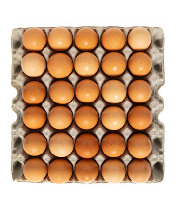 Amish brown eggs Baladi - Papaya Express