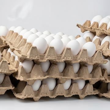AMISH JUMBO WHITE EGGS (20CT) - Papaya Express