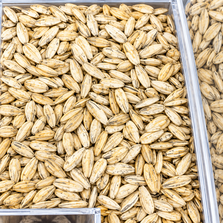 Bleached Sunflower Seeds Jumbo (Per LB)