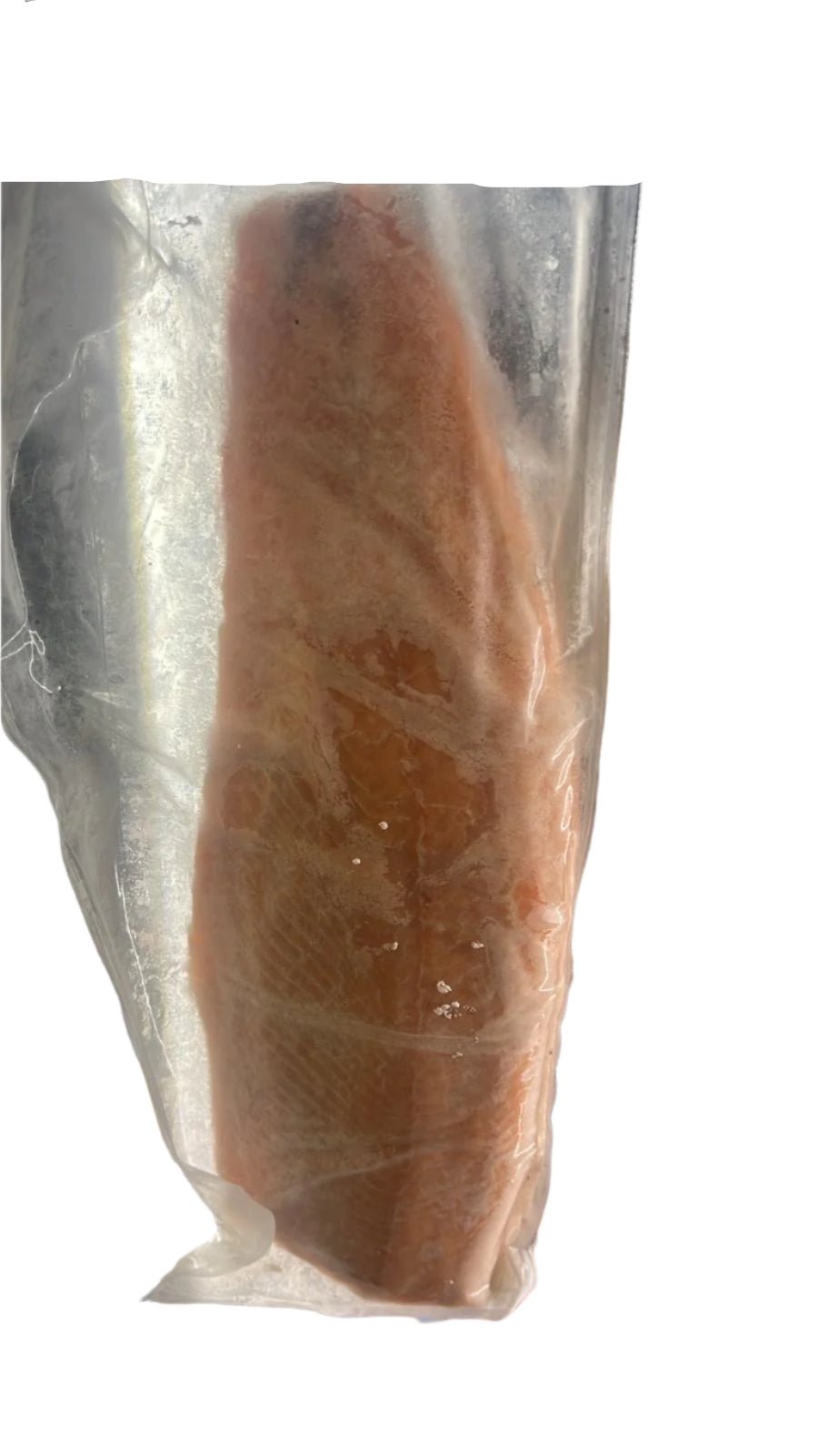 Frozen Salmon (By LB) - Papaya Express